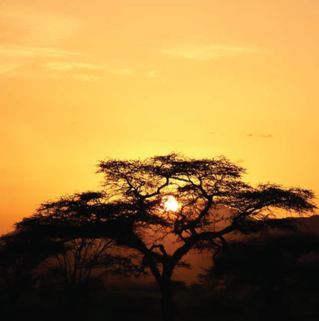 desert tourism in kenya