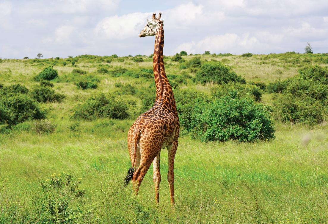 desert tourism in kenya