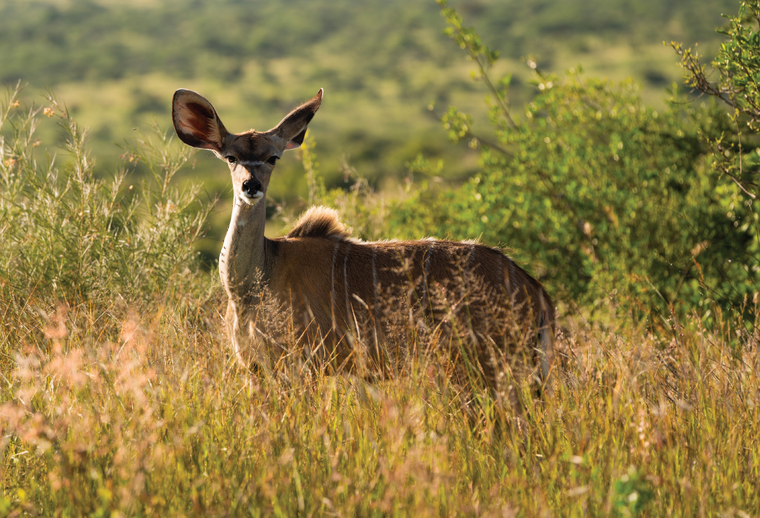 desert tourism in kenya